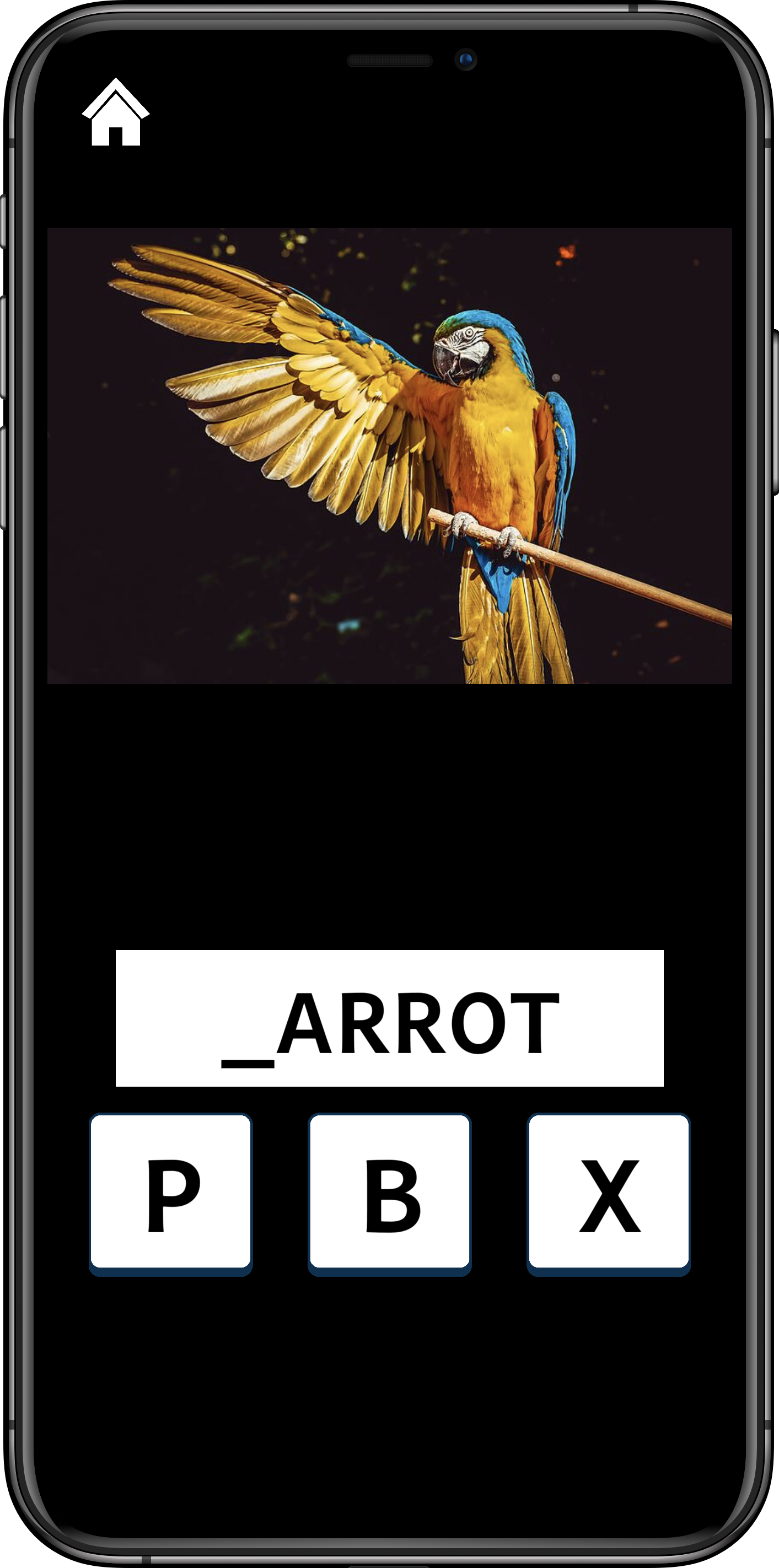 Animaleo screenshot